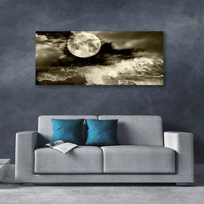 Slika na platnu Nočni moon landscape