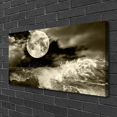Slika na platnu Nočni moon landscape