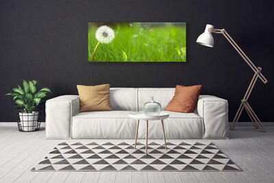 Slika na platnu Dandelion grass rastlin