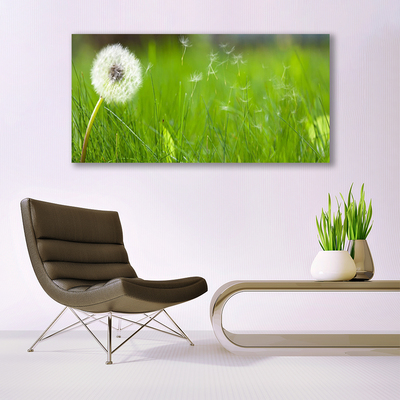 Slika na platnu Dandelion grass rastlin