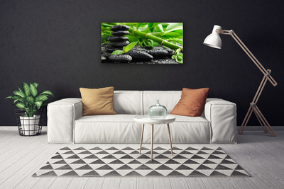 Slika na platnu Rastlin bamboo poganjki