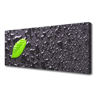 Slika na platnu Art leaf kapljice