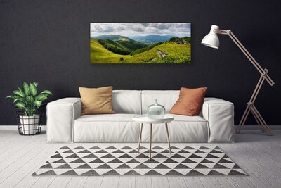 Slika na platnu Mountain travnik landscape