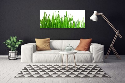 Slika na platnu Grass nature rastlin