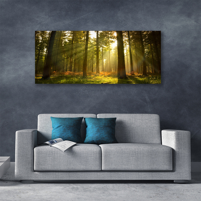 Slika na platnu Narava gozdnega drevja
