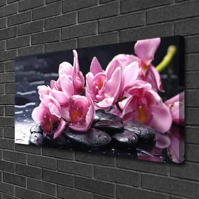 Slika na platnu Cvet orhideje rastlin