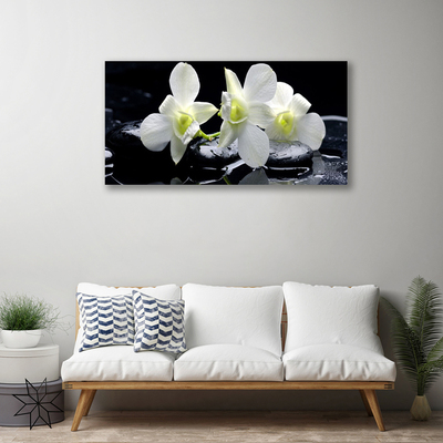 Slika na platnu Bela orhideja cvet