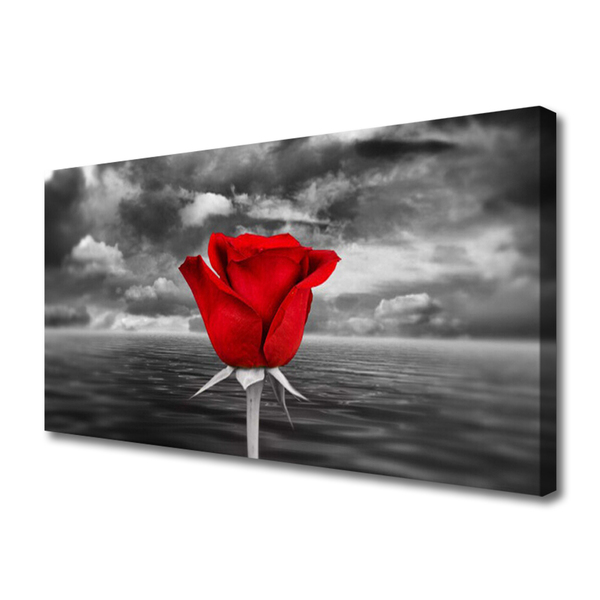 Slika na platnu Rose flower rastlin morje