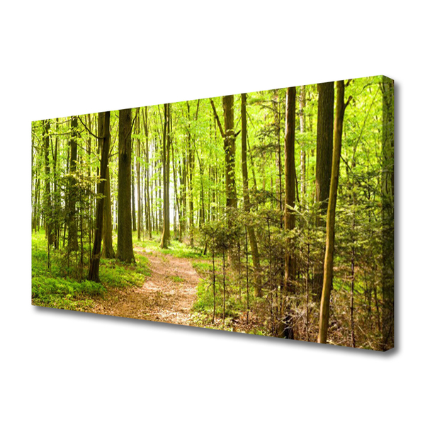 Slika na platnu Forest narava pot