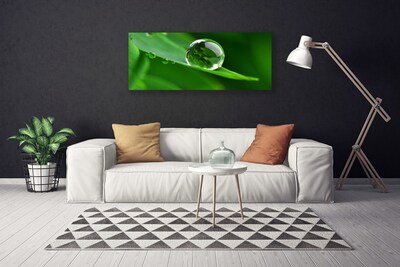 Slika na platnu Rastlin leaf water drops