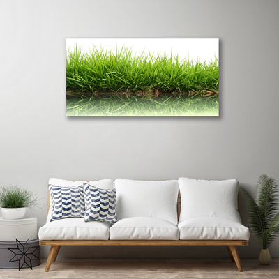 Slika na platnu Grass nature voda rastlin