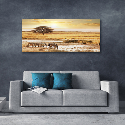 Slika na platnu Zebra safari landscape