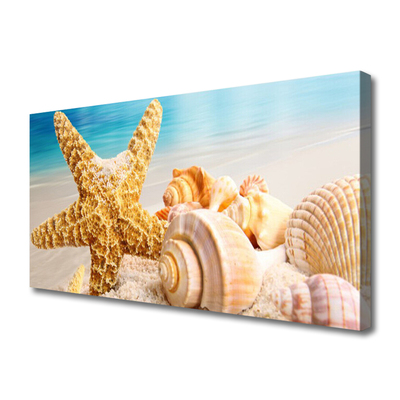 Slika na platnu Starfish shell art