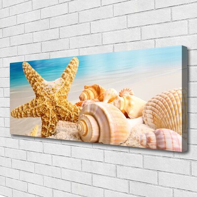 Slika na platnu Starfish shell art