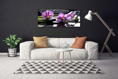 Slika na platnu Cvet orhideje rastlin