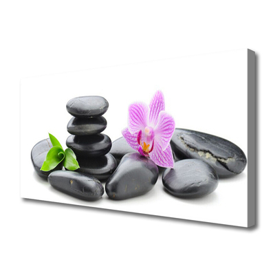 Slika na platnu Flower zen stones