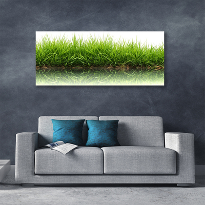 Slika na platnu Grass nature rastlin