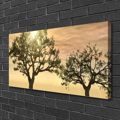 Slika na platnu Drevesa narava
