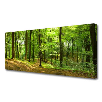 Slika na platnu Forest narava pot