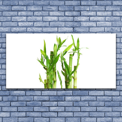 Slika na platnu Bambus stem flower rastlin