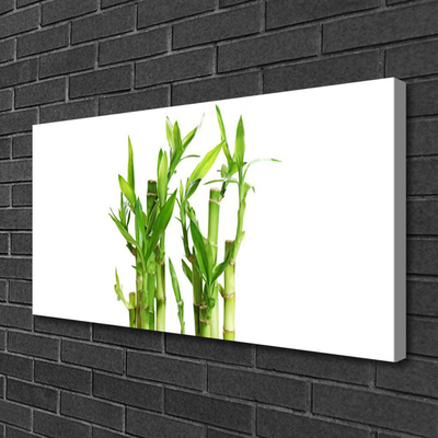 Slika na platnu Bambus stem flower rastlin