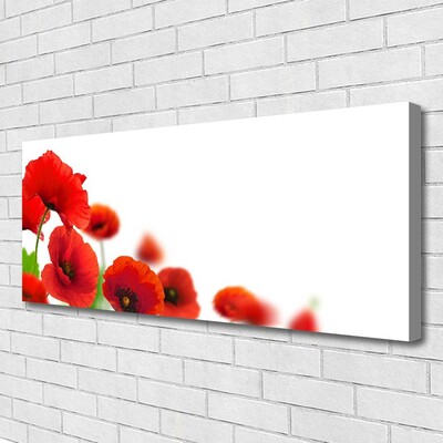 Slika na platnu Red poppies narava