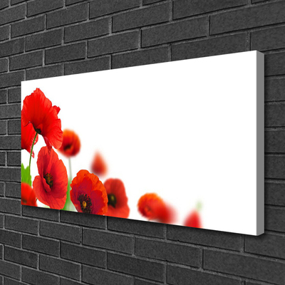Slika na platnu Red poppies narava