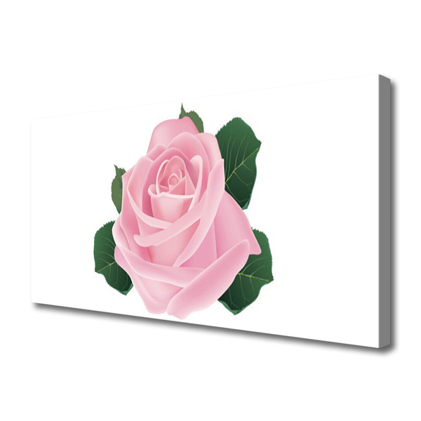 Slika na platnu Rose flower rastlin narava