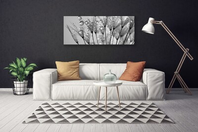 Slika na platnu Dandelion rastlin