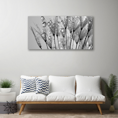Slika na platnu Dandelion rastlin