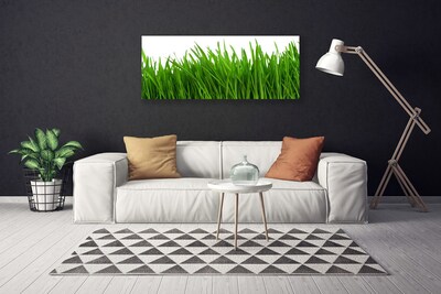 Slika na platnu Grass nature rastlin