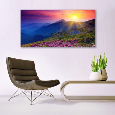 Slika na platnu Flower mountain travnik landscape