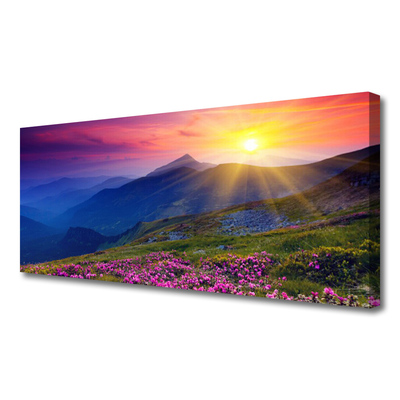Slika na platnu Flower mountain travnik landscape