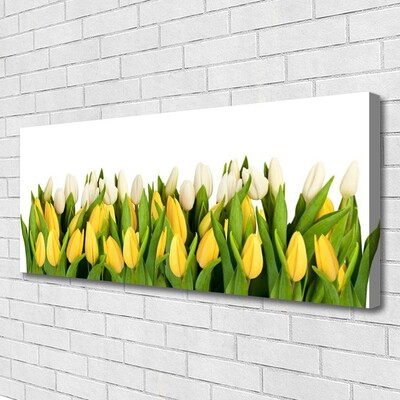 Slika na platnu Tulipani cvetovi rastlin