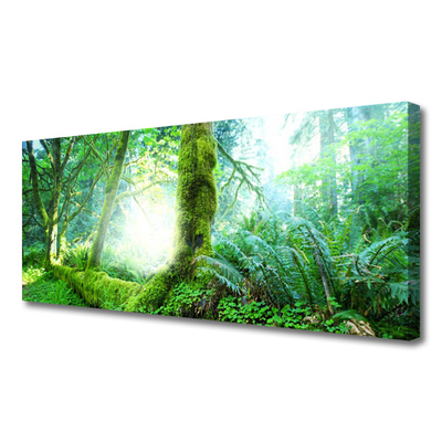 Slika na platnu Forest moss narava