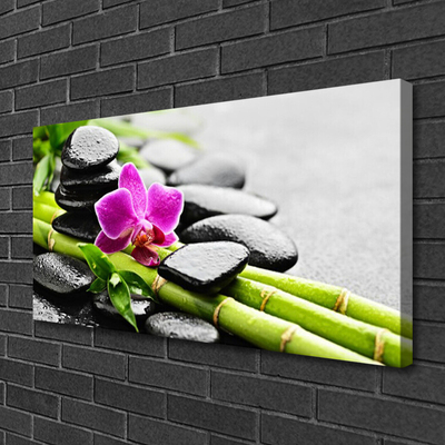 Slika na platnu Flower bamboo stones art