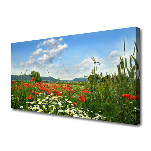 Slika na platnu Travniškega cvetja nature rastlin
