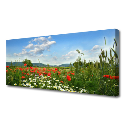 Slika na platnu Travniškega cvetja nature rastlin