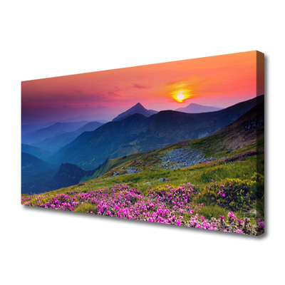 Slika na platnu Mountain travnik flowers landscape