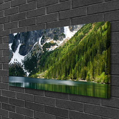 Slika na platnu Lake forest mountain landscape