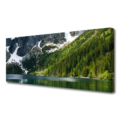 Slika na platnu Lake forest mountain landscape