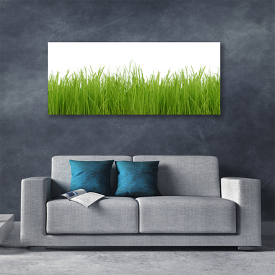 Slika na platnu Grass nature rastlin