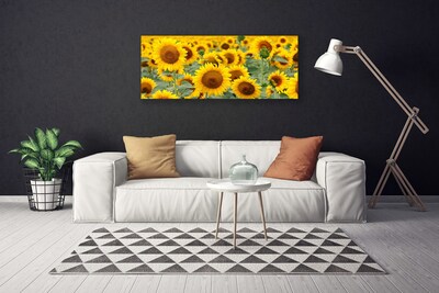 Slika na platnu Rastlina sončnice narava