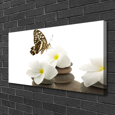 Slika na platnu Butterfly flower rastlin stones