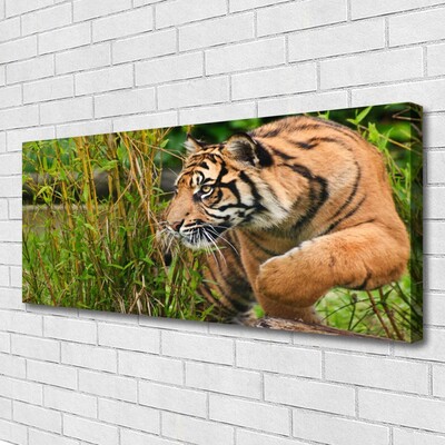 Slika na platnu Tiger živali