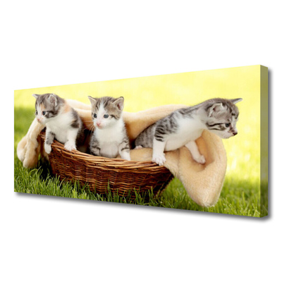Slika na platnu Mačke živali