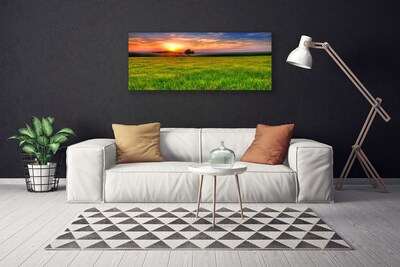 Slika na platnu Sun travnik narava