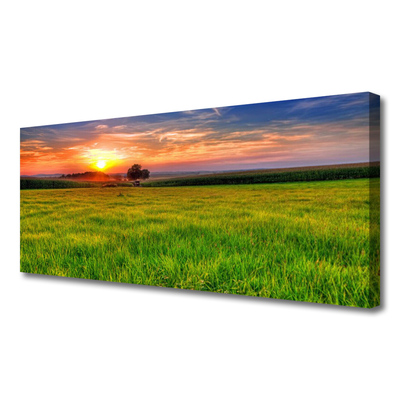 Slika na platnu Sun travnik narava