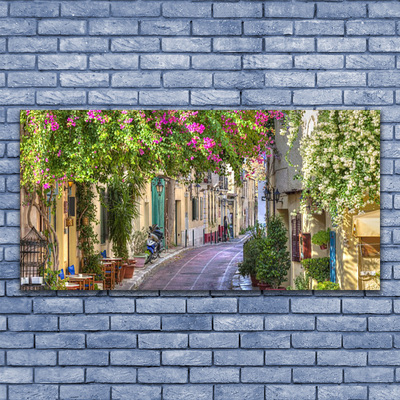 Slika na platnu Hiše alley cvetovi rastlin