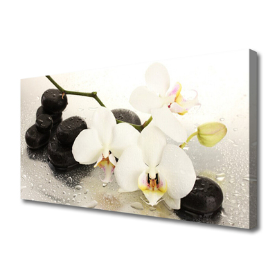 Slika na platnu Beautiful cvet orhideje